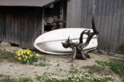 Rowboat and lumber shed outside a house