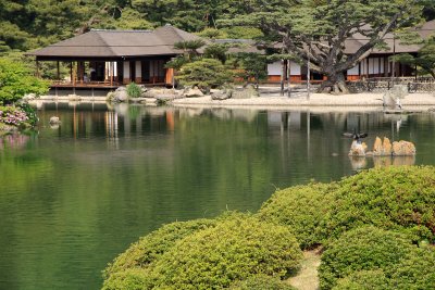 Kikugetsu-tei teahouse and stretching cormorant
