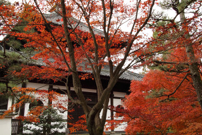 Tōfuku-ji's belfry with maples