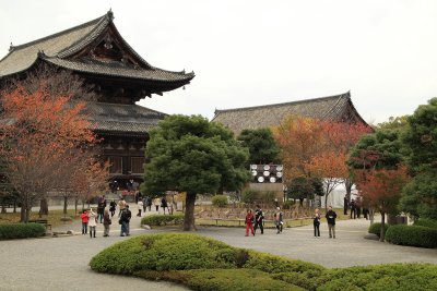 Kon-dō and Kō-dō at Tō-ji
