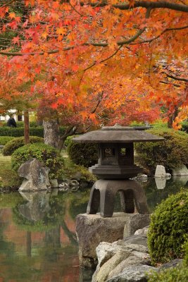 Stone lantern and maple, Tō-ji