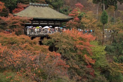 Tourists overlooking the foliage, Kiyomizu-dera