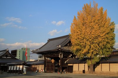 Gate at Nishi Hongan-ji with yellow ginkgo