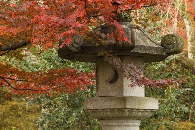 Maple branches and stone lantern, Tenryū-ji