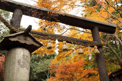 Torii at the entrance to Nonomiya-jinja