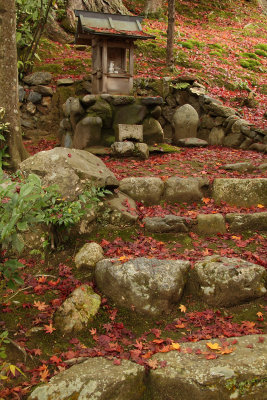 Maple-strewn steps and small altar, Jōjakkō-ji