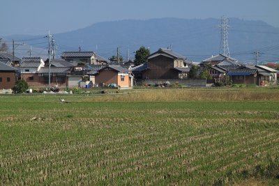 Rural surrounds of Yakushi-ji