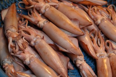 Squid for sale in Qingshui Street Market