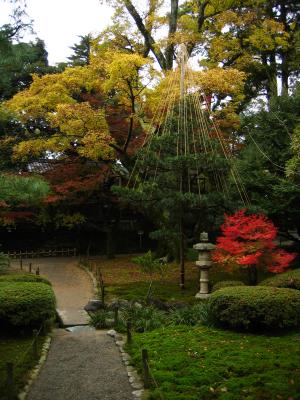 g3/97/490897/3/52699275.67GardendetailinKenrokuen23.11.2005.jpg