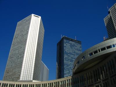 Shinjuku skyscrapers from Tomin Hiroba