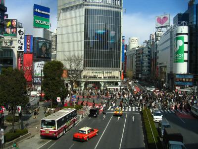 Looking over Shibuya crossing