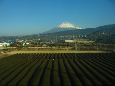 Shizuoka and Mt. Fuji 静岡と富士山