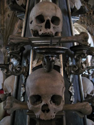 Mounted skulls