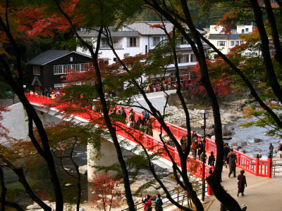 View of the bridge from the forest above