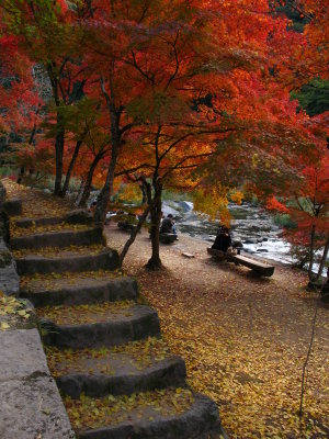 Leaf-covered stone steps