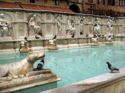 Fonte Gaia on Il Campo