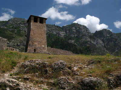 Lone tower in the castle grounds