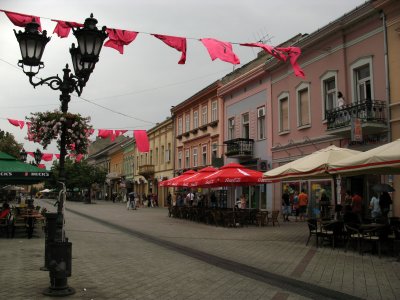 Flags flapping over Zmaj Jovina