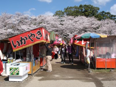 Hanami yatai on the north bank