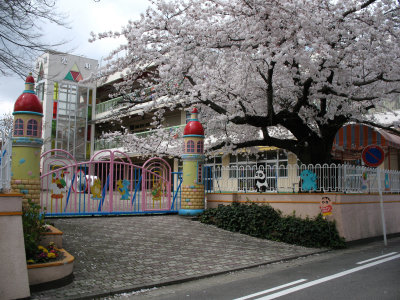 Kindergarten with sakura near Inuyama station