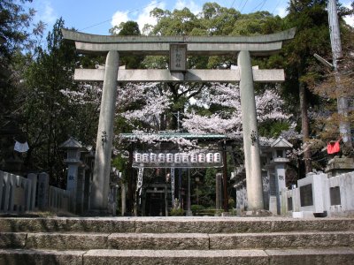 Haritsuna-jinja torii