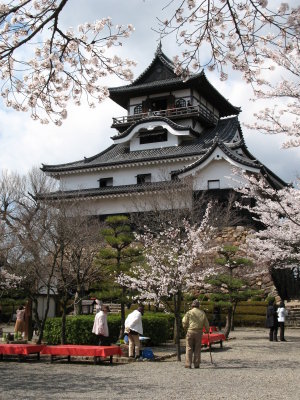 View across the castle courtyard with sakura