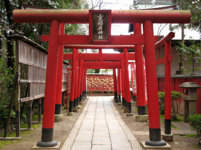 Row of torii at Sankō-Inari-jinja