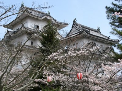 Donjon and front yagura with sakura