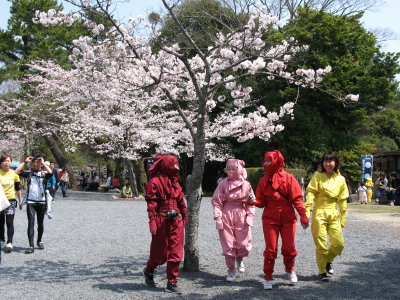Group of girls in ninja garb in the castle grounds