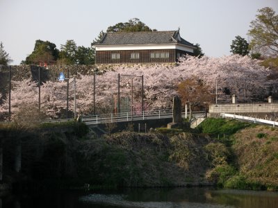 Remnants of Kameyama-jō