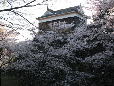 Tamon-yagura (former watchtower) of Kameyama-jō