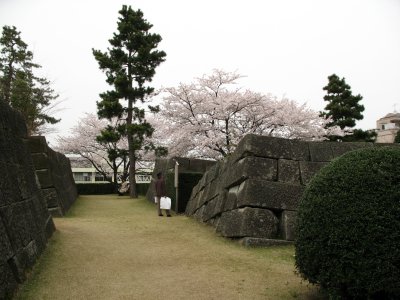 Within the ruins of Fukui-jō