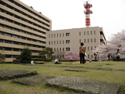 Prefectural Government Building from the ruins