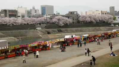 Riverside festival food stalls and sakura