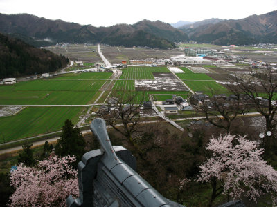 Wet rice paddies in the rural outskirts