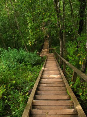 Long steps down from Krimulda