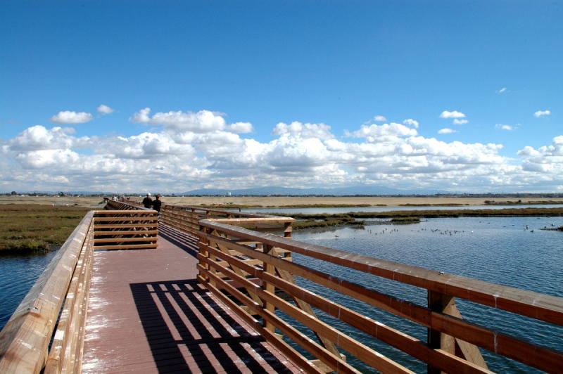 Beauty of Bolsa Chica.