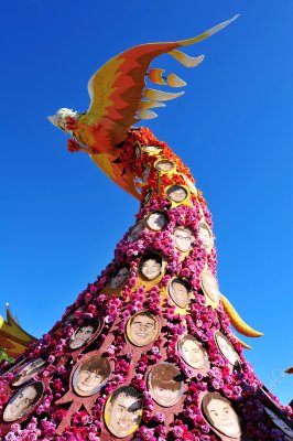 10. New Life Rises, DSC_2306c.jpg