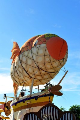 47. Look Ma-No Hands. DSC_2281c.jpg