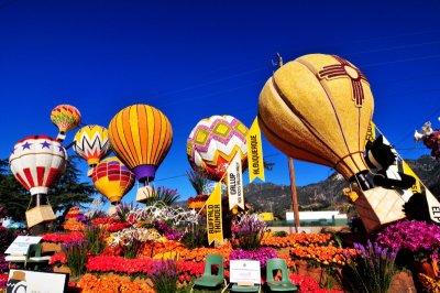 70. Enchantment is in the Air.TOM_1105c.jpg