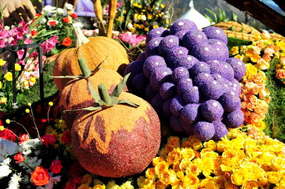 78. Harvesting Good Health.DSC_2243c.jpg