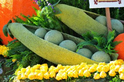 78. Harvesting Good Health.TOM_1243c.jpg