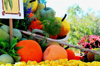 78. Harvesting Good Health.TOM_1244c.jpg
