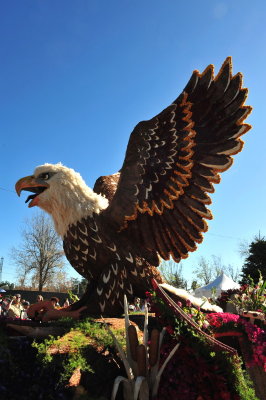 91. American's Pride. .DSC_2248c.jpg