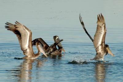 Landing