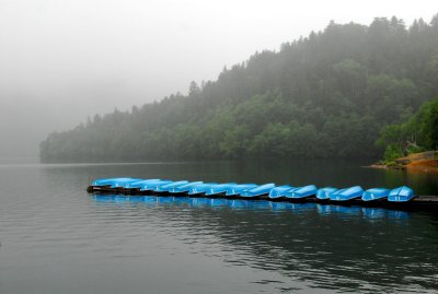Lake, at trip to Furano,Hokkaido,Japan