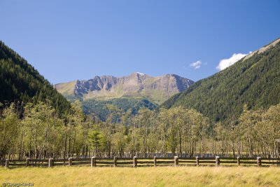 IMG_2750.jpg