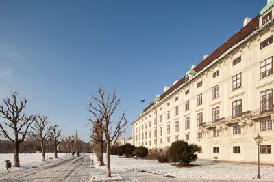 Rathaus - Hofburg