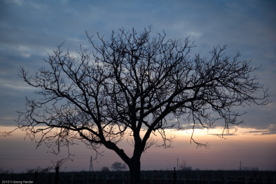 burgenland