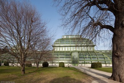 Schnbrunn - Palmenhaus